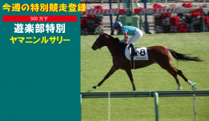 今週の特別競走登録･ヤマニンルサリー