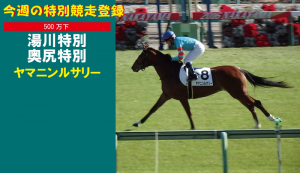 今週の特別競走登録･ヤマニンルサリー