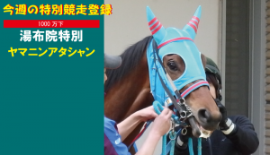 今週の特別競走登録･ヤマニンアタシャン