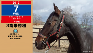 2017年度7勝目・ヤマニンペダラーダ