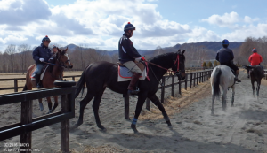 育成時代のヤマニンシレーナ