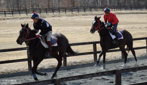 育成時代の左ヤマニンシレーナと右ヤマニンルサリー