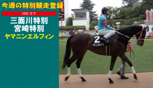 今週の特別競走登録･ヤマニンエルフィン