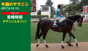 今週のヤマニン・ヤマニンエルフィン