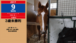 2017年9勝目･ヤマニンベルベーヌ