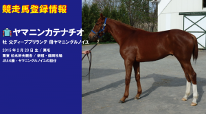競走馬登録・ヤマニンカテナチオ
