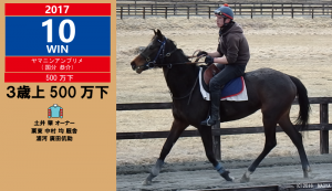 2017年10勝目･ヤマニンアンプリメ