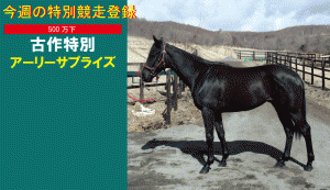 今週の特別競走登録・アーリーサプライズ
