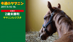 今週のヤマニン・ヤマニンレジスタ