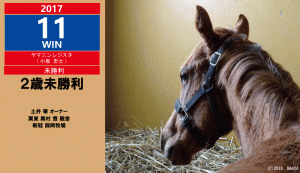 2017年11勝目・ヤマニンレジスタ