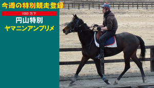 今週の特別競走登録・ヤマニンアンプリメ