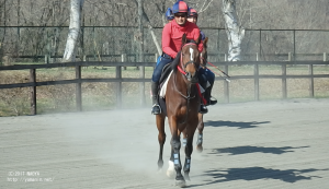 育成時代のヤマニンデポルテ