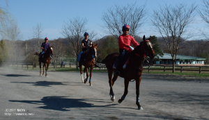 調教に向かうデポルテ、カテナチオ、グレゴリオ
