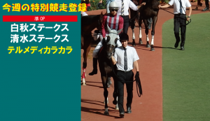 今週の特別競走登録・テルメディカラカラ