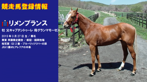 競走馬登録・リメンブランス