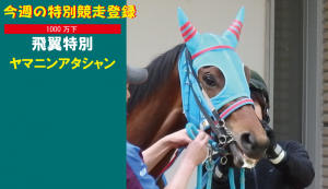 今週の特別競走登録・ヤマニンアタシャン
