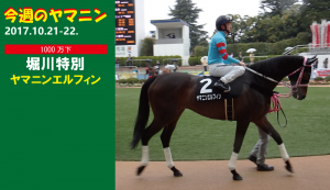 今週のヤマニン･ヤマニンエルフィン