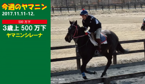 今週のヤマニン･ヤマニンシレーナ