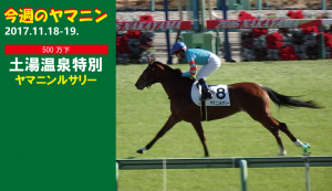 今週のヤマニン･ヤマニンルサリー