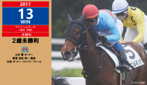 2017年13勝目・ヤマニンルネッタ