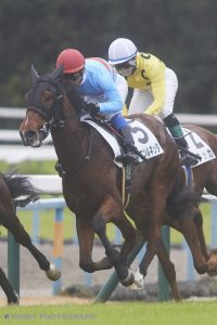 初勝利を飾ったヤマニンルネッタ