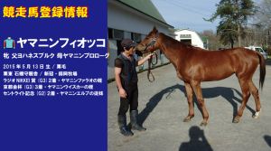 競走馬登録・ヤマニンフィオッコ