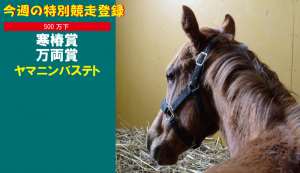 今週の特別競走登録･ヤマニンレジスタ