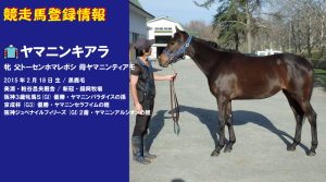 競走馬登録･ヤマニンキアラ