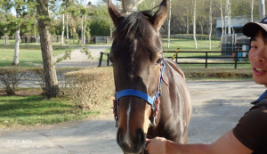 育成時代のヤマニンキアラ