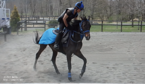 育成時代のヤマニンキアラ