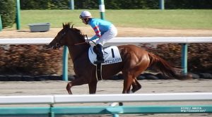 本馬場入場のヤマニンレジスタと小坂騎手