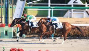 2着に滑り込むヤマニンレジスタ