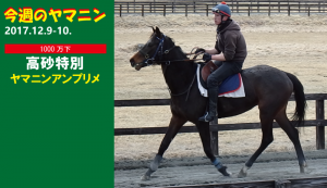 今週のヤマニン･ヤマニンアンプリメ