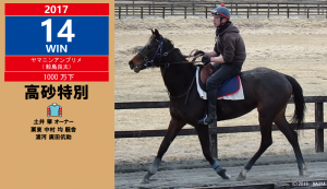 2017年14勝目・ヤマニンアンプリメ