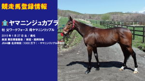 競走馬登録・ヤマニンジュカブラ