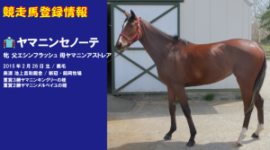 競走馬登録・ヤマニンセノーテ