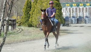 育成時代のヤマニンセノーテ