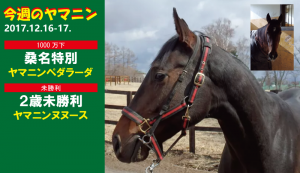 今週のヤマニン・ペダラーダとヌヌース