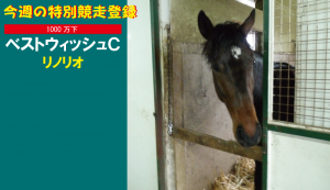 今週の特別競走登録･リノリオ