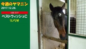 今週のヤマニン･リノリオ