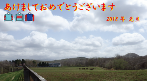 謹賀新年2018年・錦岡牧場1歳馬厩舎を望む