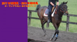 2017年活躍馬・2018年期待馬