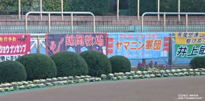 ヤマニンキアラのデビュー戦・応援幕