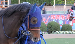 ３歳新馬のヤマニンキアラ