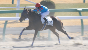 ３歳新馬のヤマニンキアラ