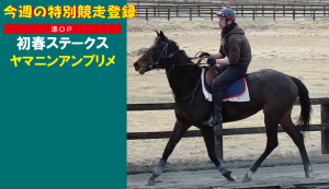 今週の特別競走登録・ヤマニンアンプリメ