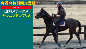 今週の特別競走登録・ヤマニンアンプリメ