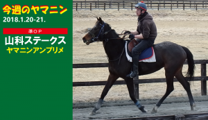 今週のヤマニン･ヤマニンアンプリメ