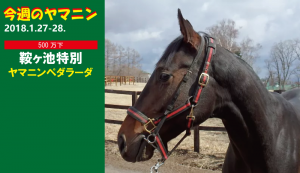 今週のヤマニン･ヤマニンペダラーダ