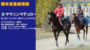 競走馬登録・ヤマニンマデュロー